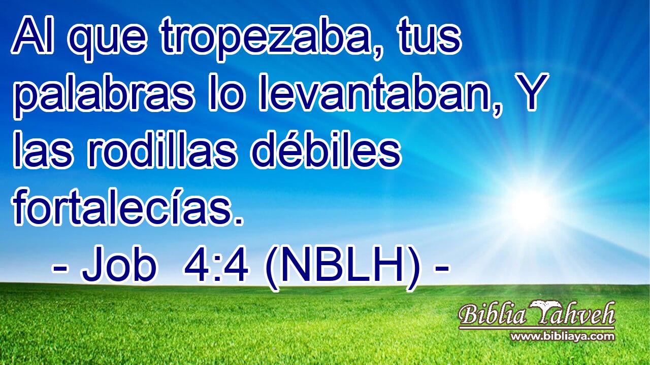  Al que tropezaba, tus palabras lo levantaban, Y las rodillas débiles fortalecías. 