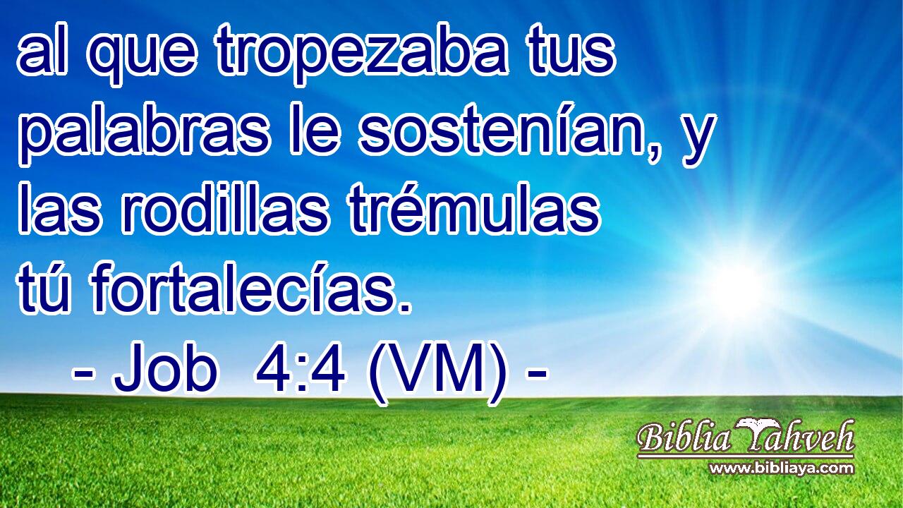  al que tropezaba tus palabras le sostenían, y las rodillas trémulas tú fortalecías. 