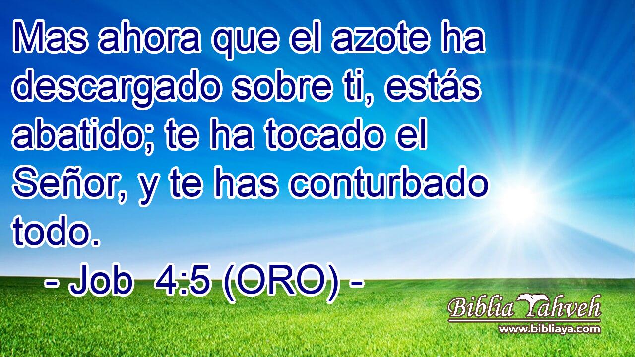  Mas ahora que el azote ha descargado sobre ti, estás abatido; te ha tocado el Señor, y te has conturbado todo. 