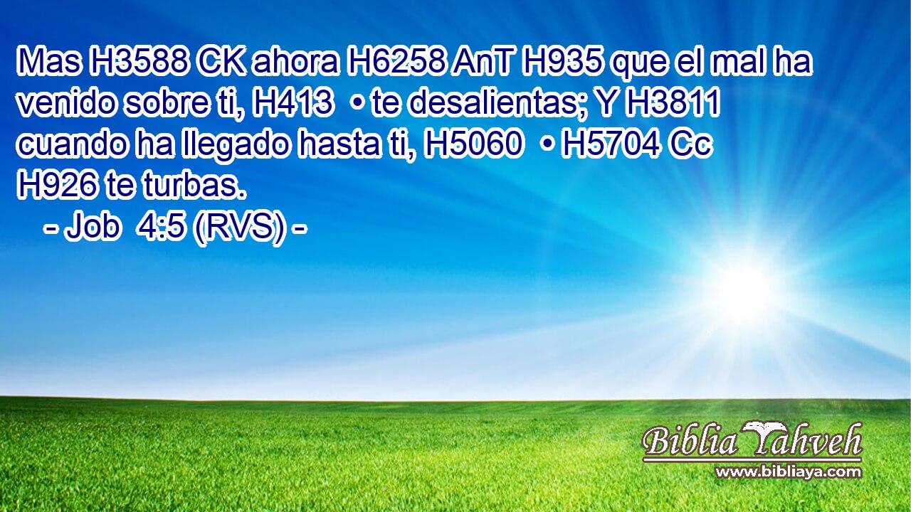 Mas H3588 CK ahora H6258 AnT H935 que el mal ha venido sobre ti, H413  • te desalientas; Y H3811 cuando ha llegado hasta ti, H5060  • H5704 Cc H926 te turbas. 