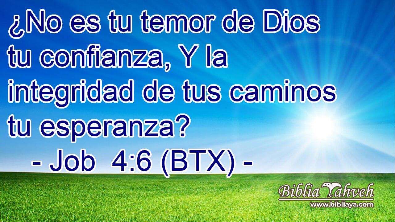 ¿No es tu temor de Dios tu confianza, Y la integridad de tus caminos tu esperanza?