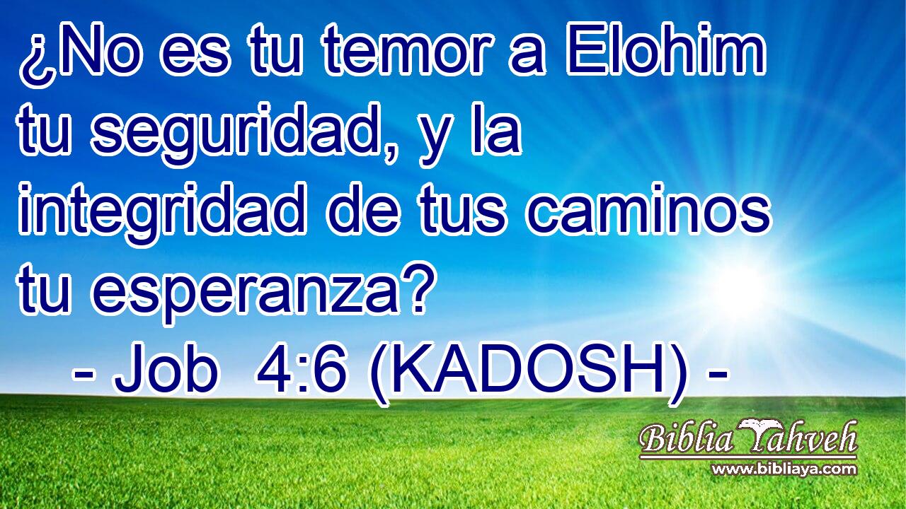  ¿No es tu temor a Elohim tu seguridad, y la integridad de tus caminos tu esperanza? 