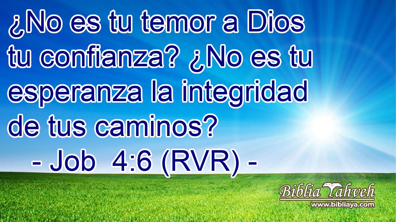 ¿No es tu temor a Dios tu confianza? ¿No es tu esperanza la integridad de tus caminos?