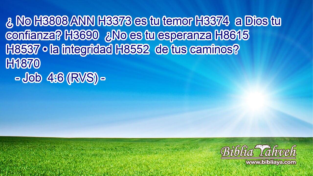 ¿ No H3808 ANN H3373 es tu temor H3374  a Dios tu confianza? H3690  ¿No es tu esperanza H8615  H8537 • la integridad H8552  de tus caminos? H1870  