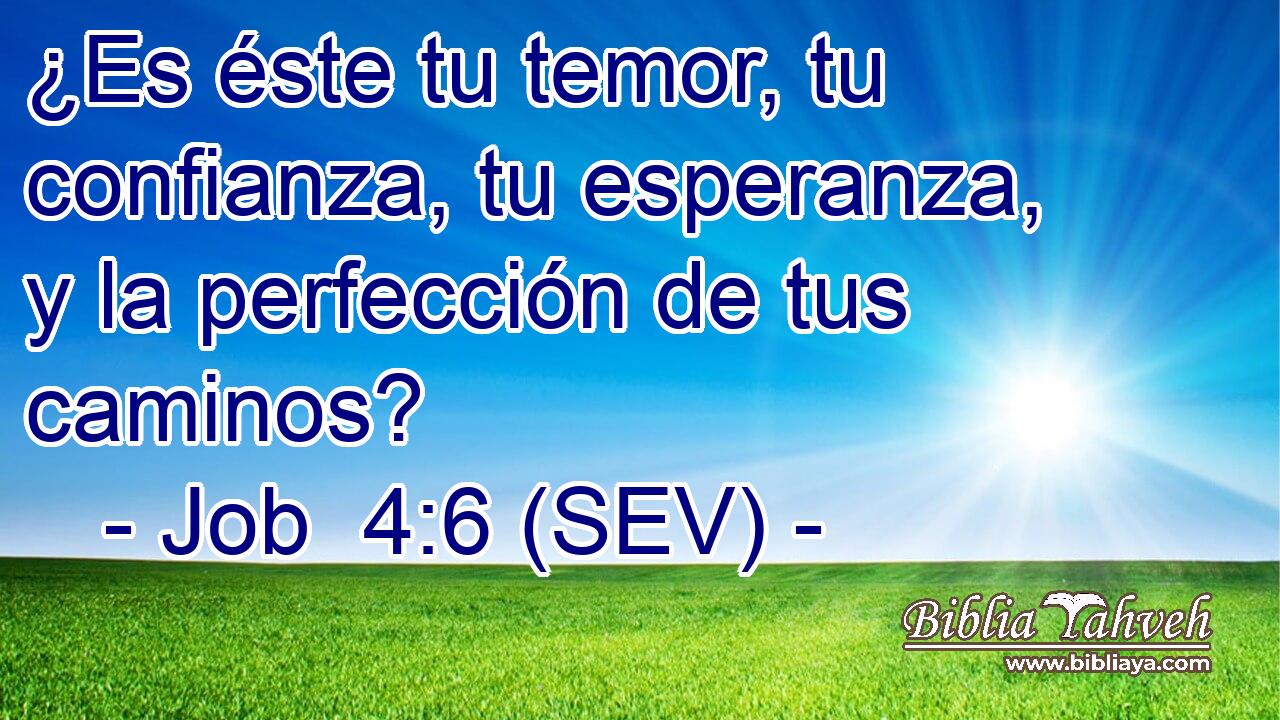 ¿Es éste tu temor, tu confianza, tu esperanza, y la perfección de tus caminos?