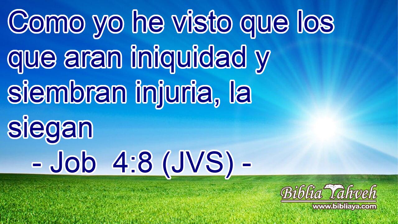 Como yo he visto que los que aran iniquidad y siembran injuria, la siegan