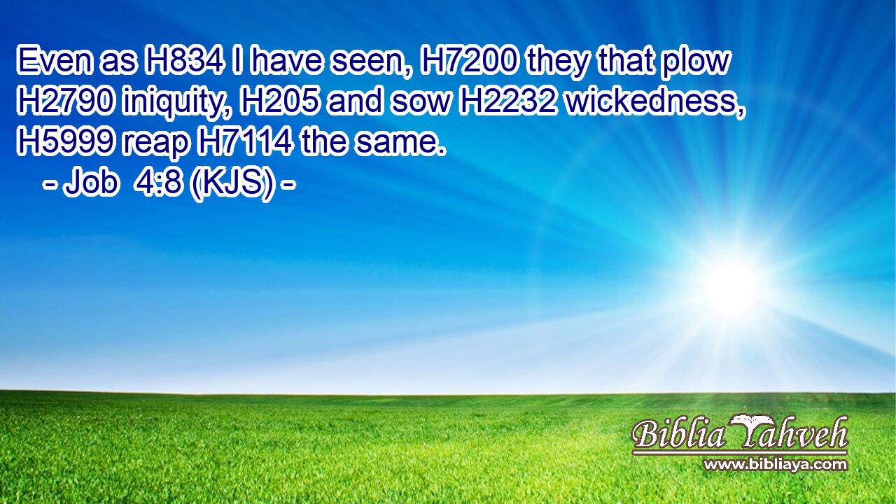 Even as H834 I have seen, H7200 they that plow H2790 iniquity, H205 and sow H2232 wickedness, H5999 reap H7114 the same.