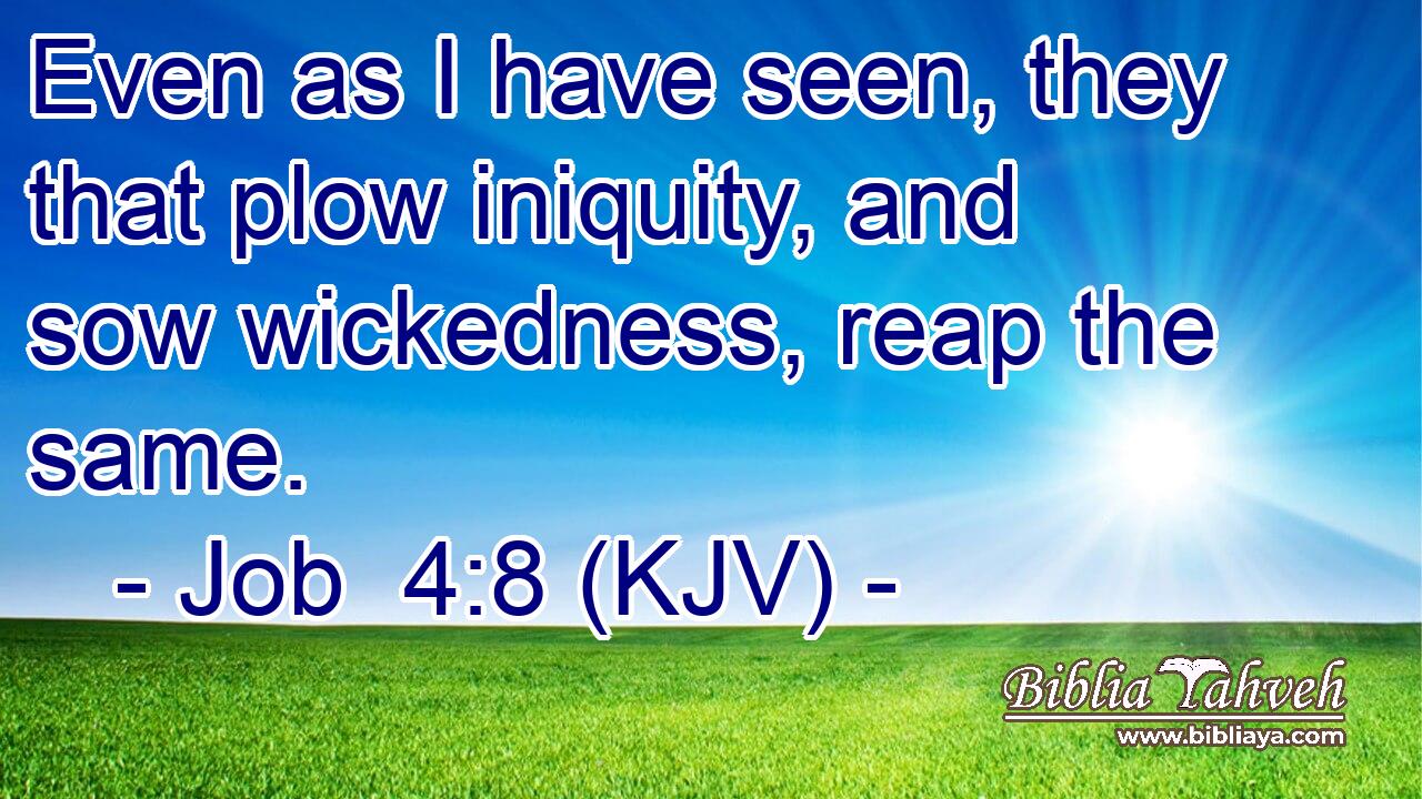 Even as I have seen, they that plow iniquity, and sow wickedness, reap the same.