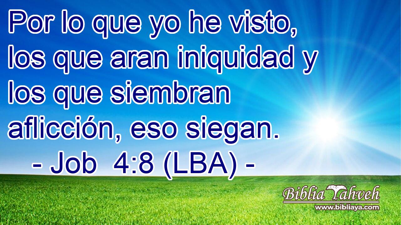 Por lo que yo he visto, los que aran iniquidad y los que siembran aflicción, eso siegan.