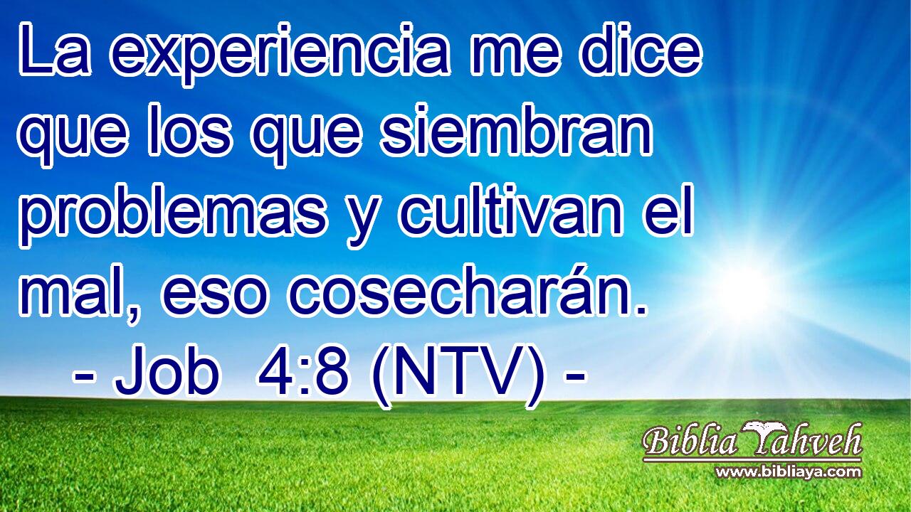 La experiencia me dice que los que siembran problemas y cultivan el mal, eso cosecharán.