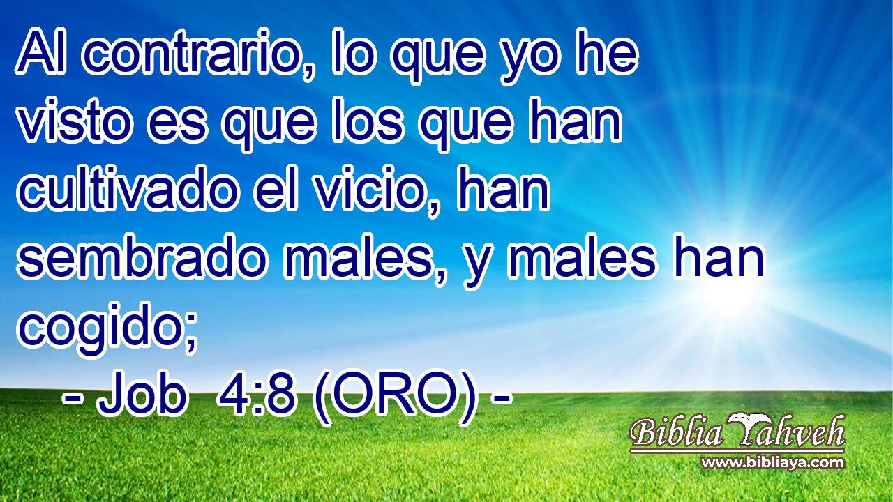  Al contrario, lo que yo he visto es que los que han cultivado el vicio, han sembrado males, y males han cogido; 