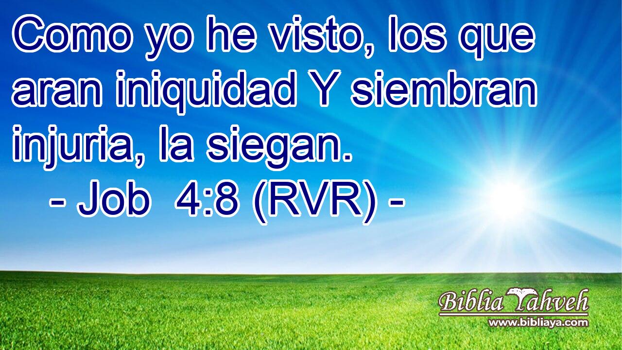 Como yo he visto, los que aran iniquidad Y siembran injuria, la siegan.