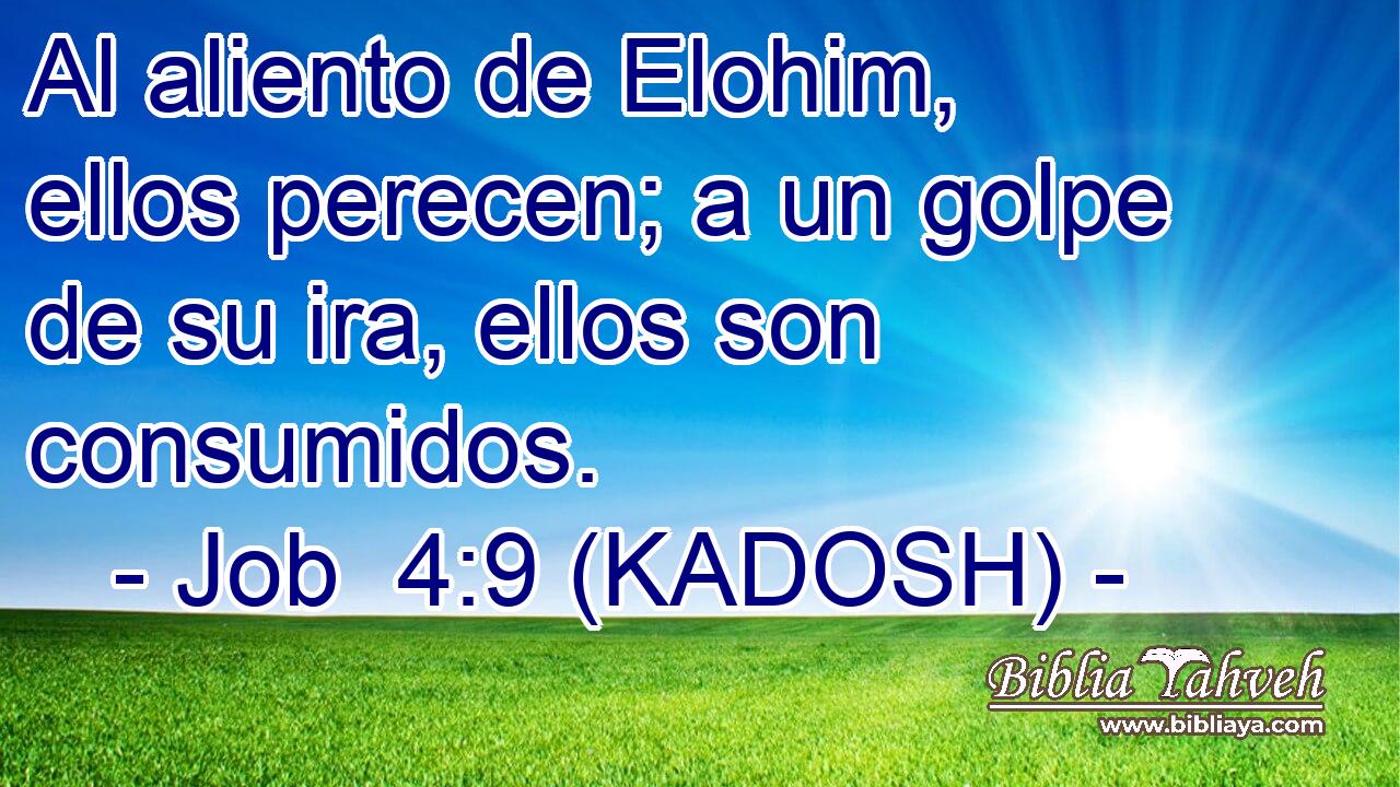  Al aliento de Elohim, ellos perecen; a un golpe de su ira, ellos son consumidos. 