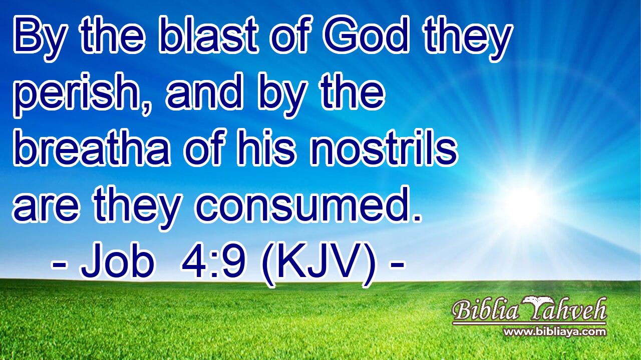 By the blast of God they perish, and by the breatha of his nostrils are they consumed.