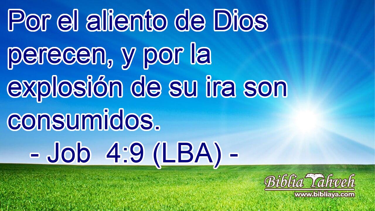 Por el aliento de Dios perecen, y por la explosión de su ira son consumidos.