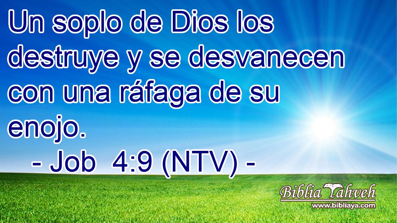Un soplo de Dios los destruye y se desvanecen con una ráfaga de su enojo.