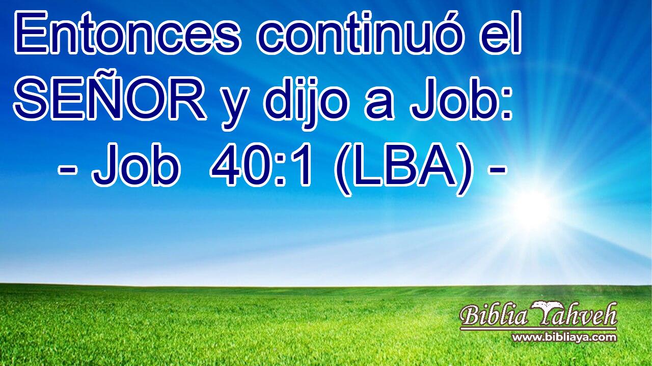 Entonces continuó el SEÑOR y dijo a Job: