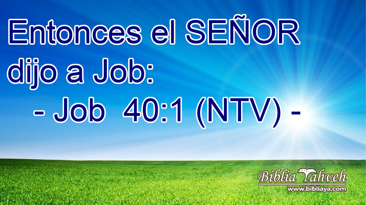 Entonces el SEÑOR dijo a Job: