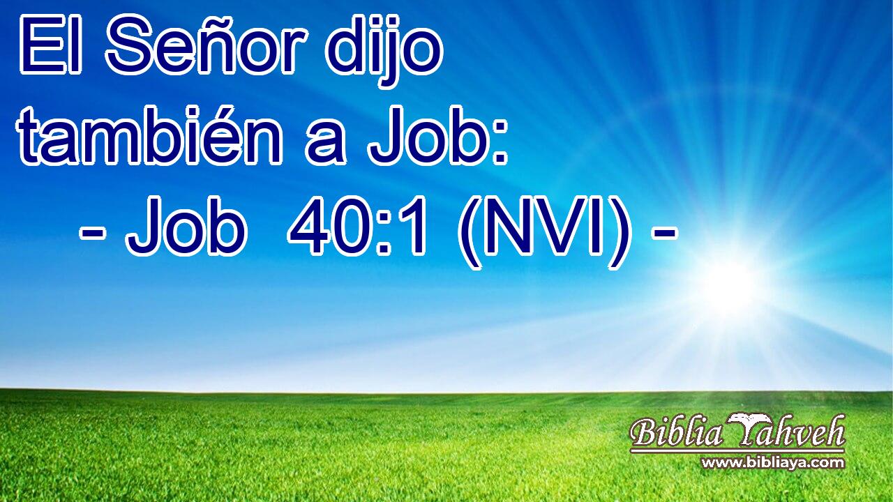  El Señor dijo también a Job: 