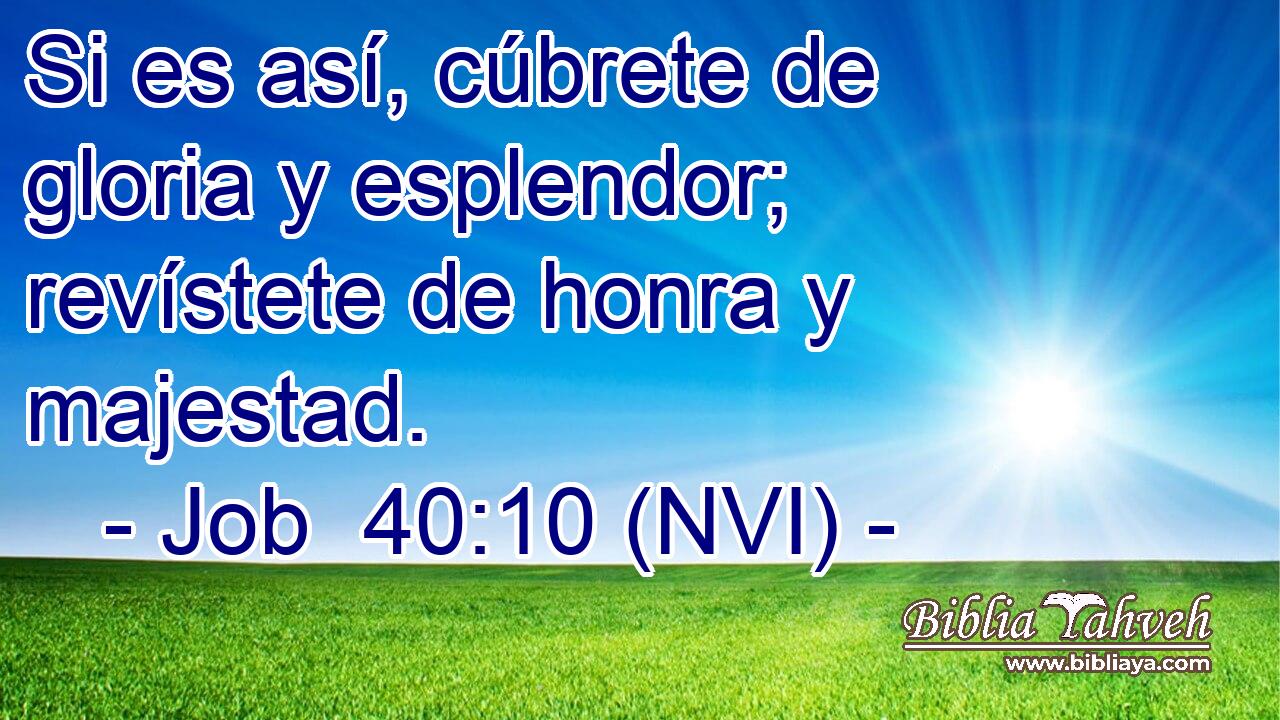  Si es así, cúbrete de gloria y esplendor; revístete de honra y majestad. 