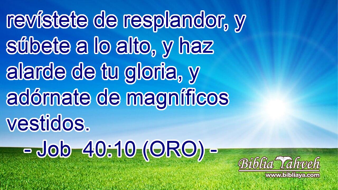  revístete de resplandor, y súbete a lo alto, y haz alarde de tu gloria, y adórnate de magníficos vestidos. 