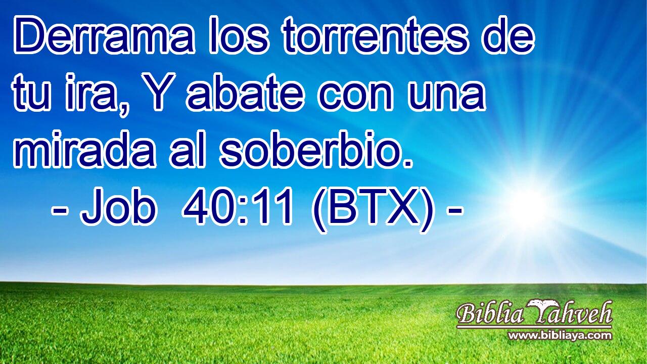 Derrama los torrentes de tu ira, Y abate con una mirada al soberbio.