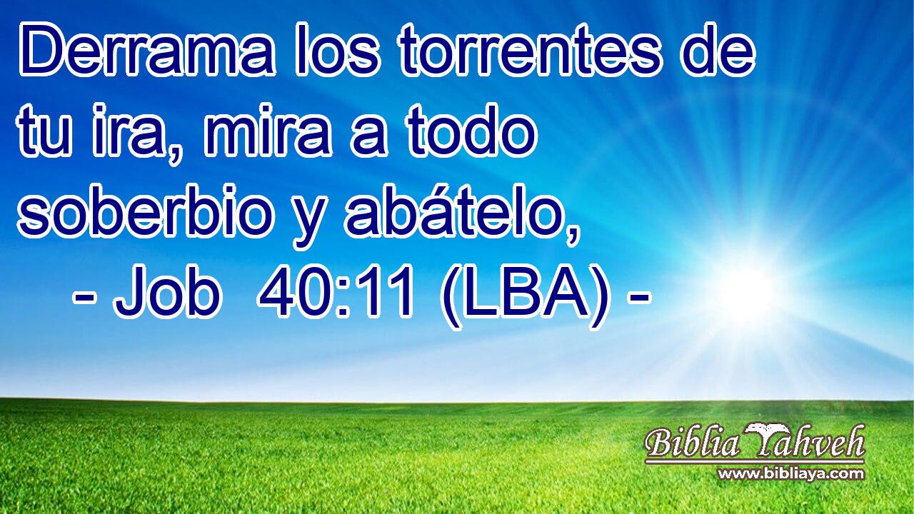Derrama los torrentes de tu ira, mira a todo soberbio y abátelo,