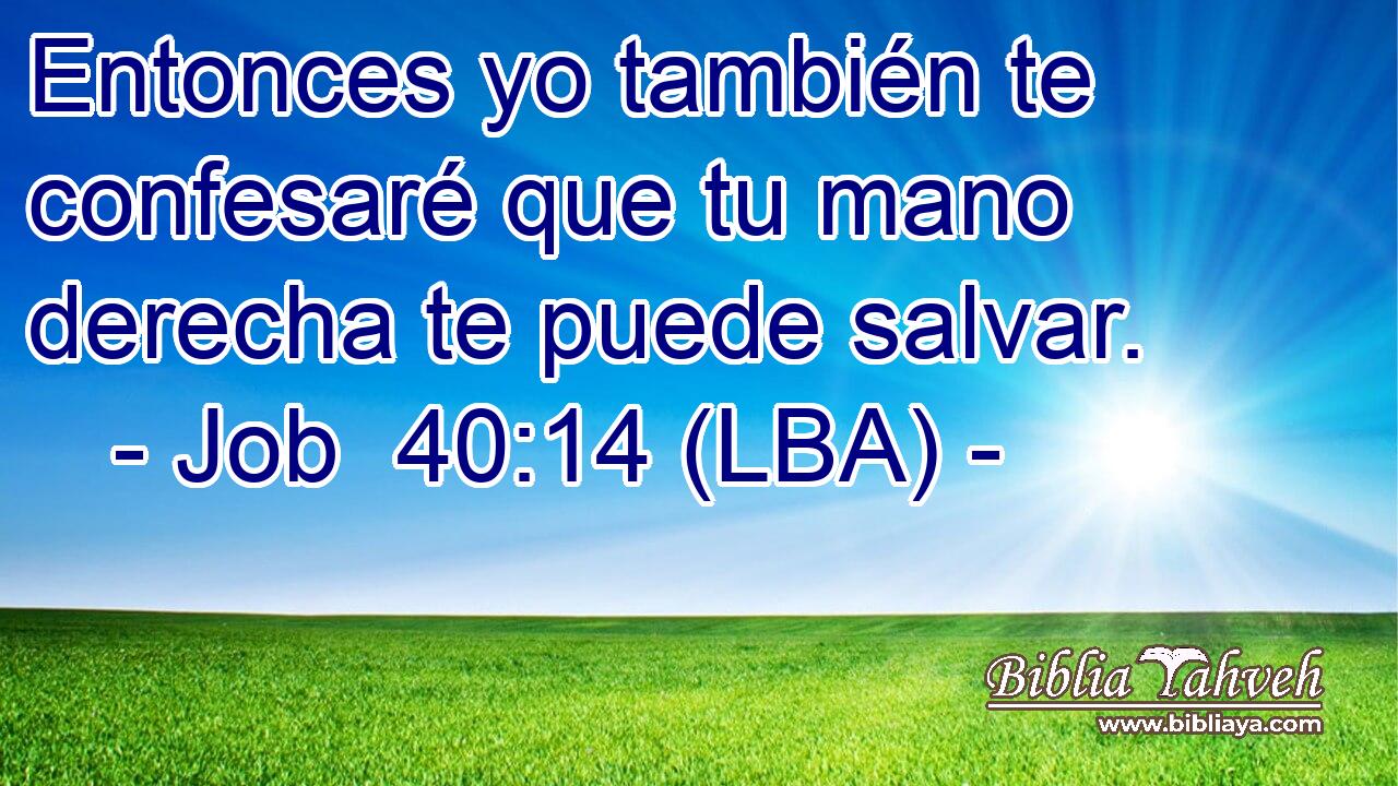 Entonces yo también te confesaré que tu mano derecha te puede salvar.