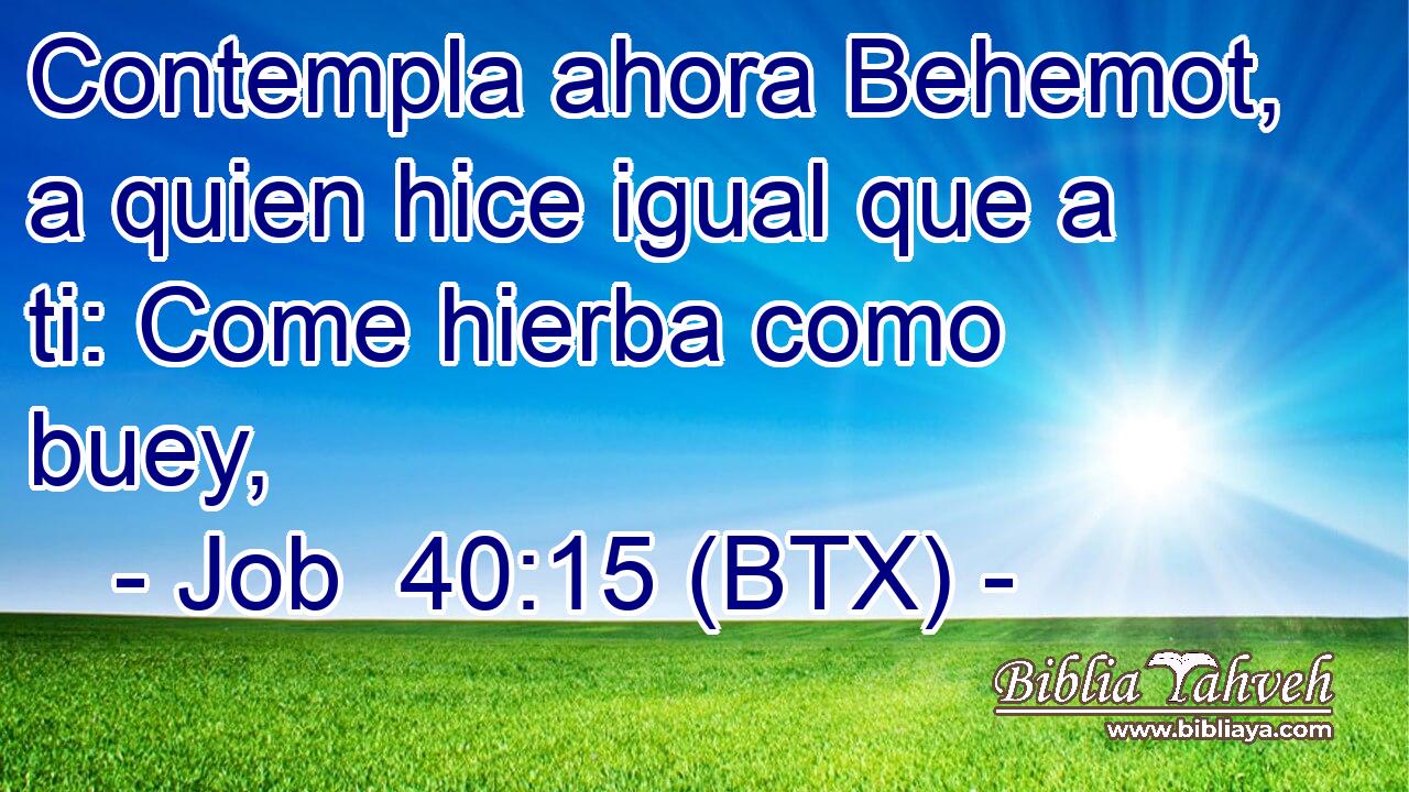 Contempla ahora Behemot, a quien hice igual que a ti: Come hierba como buey,