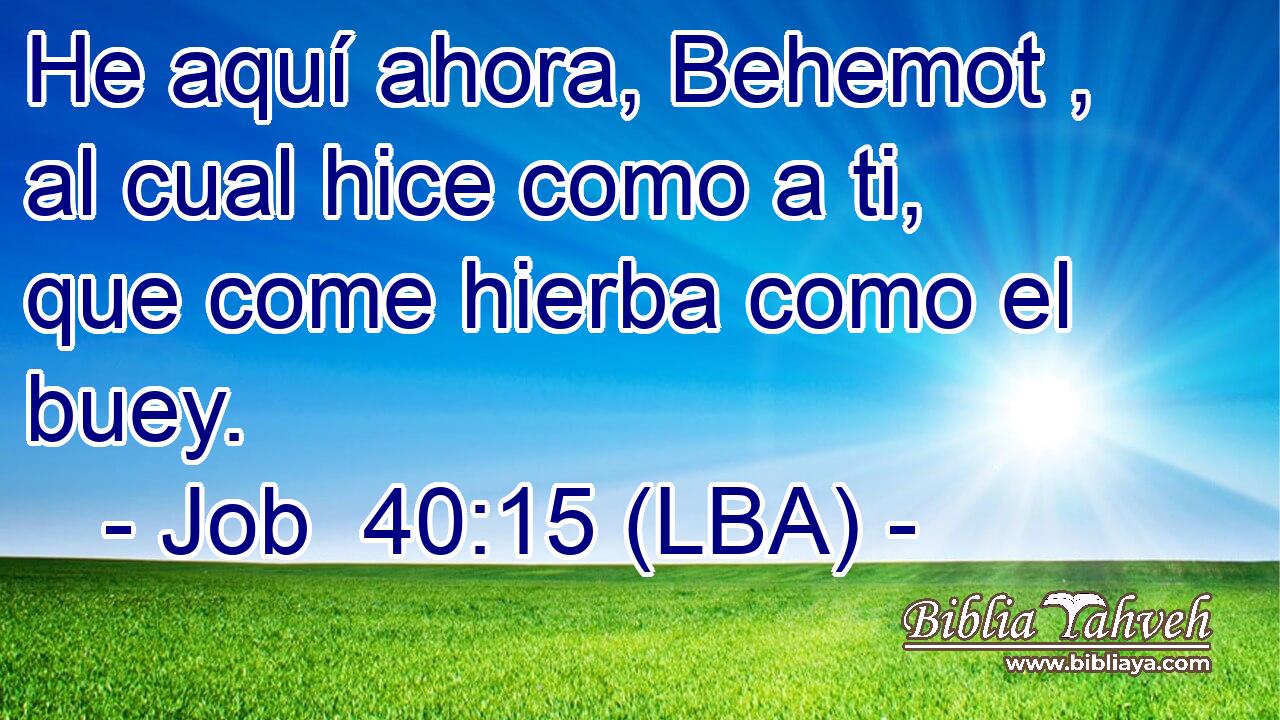 He aquí ahora, Behemot , al cual hice como a ti, que come hierba como el buey.
