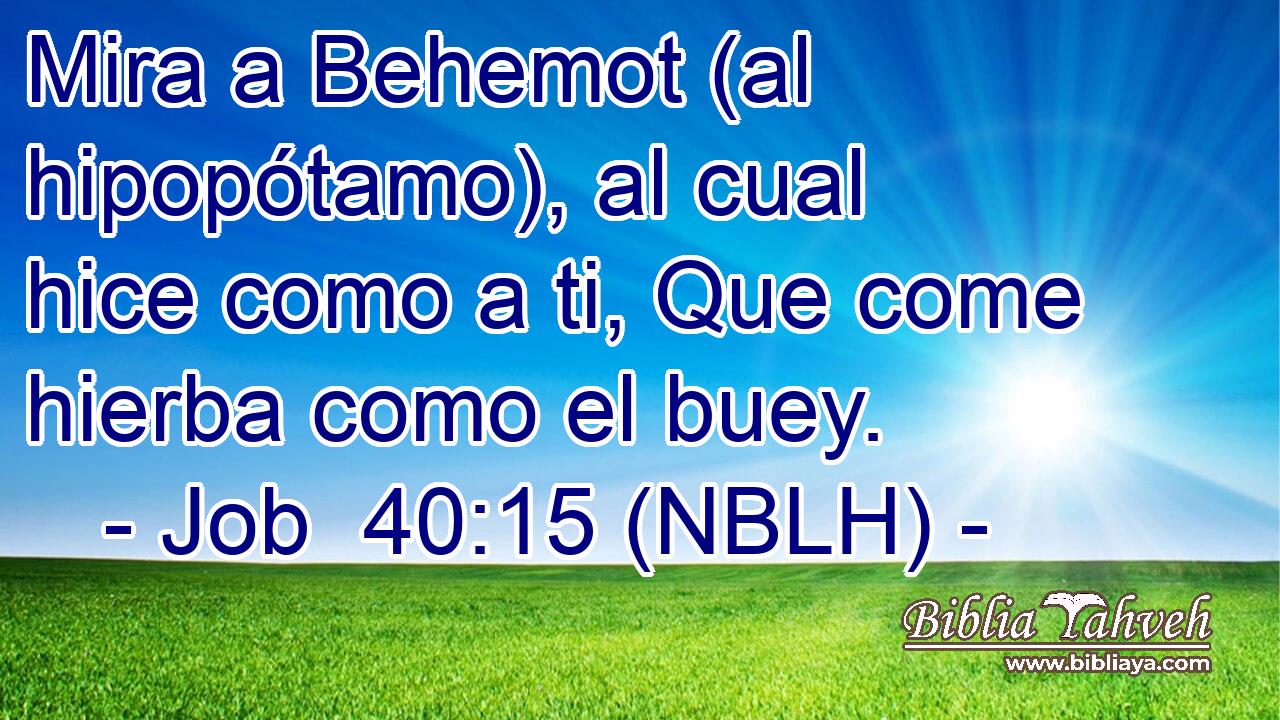  Mira a Behemot (al hipopótamo), al cual hice como a ti, Que come hierba como el buey. 