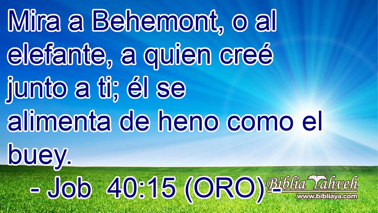  Mira a Behemont, o al elefante, a quien creé junto a ti; él se alimenta de heno como el buey. 