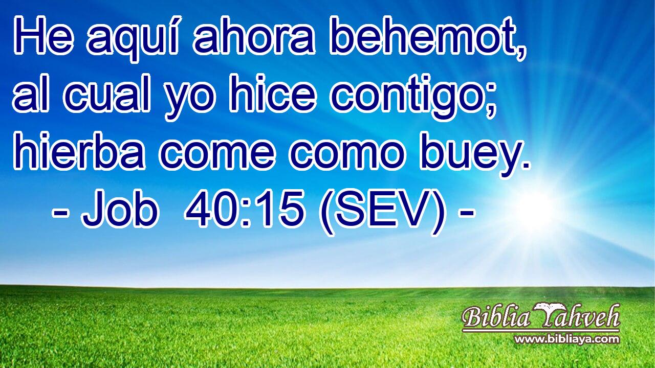 He aquí ahora behemot, al cual yo hice contigo; hierba come como buey.