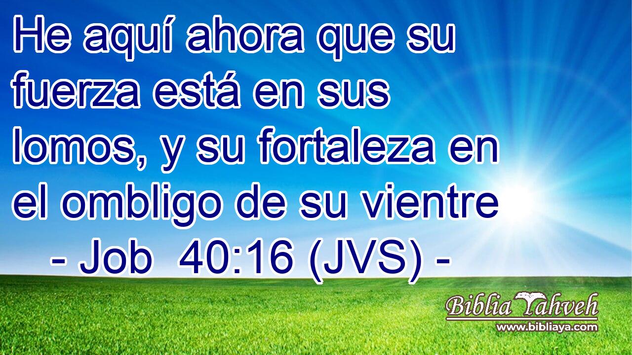 He aquí ahora que su fuerza está en sus lomos, y su fortaleza en el ombligo de su vientre