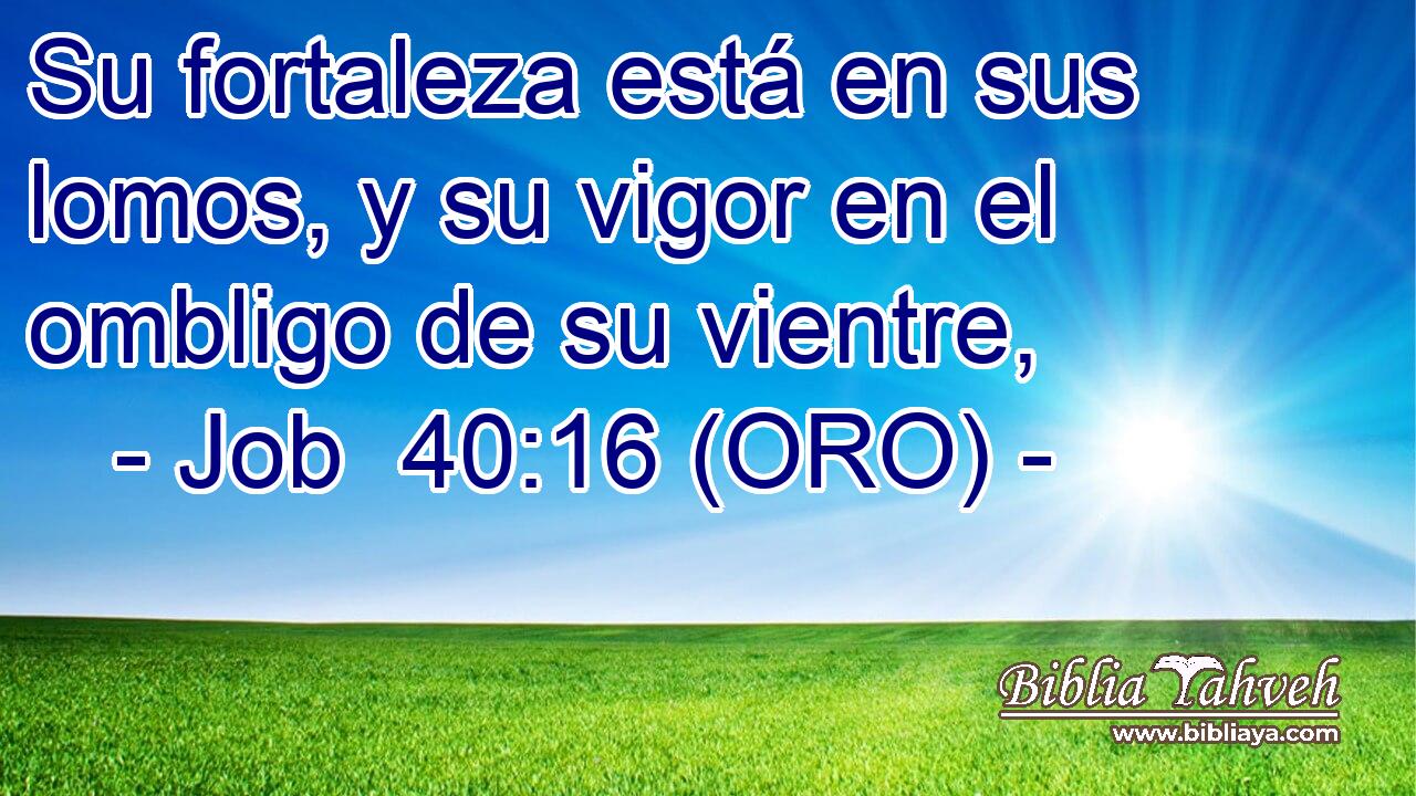  Su fortaleza está en sus lomos, y su vigor en el ombligo de su vientre, 