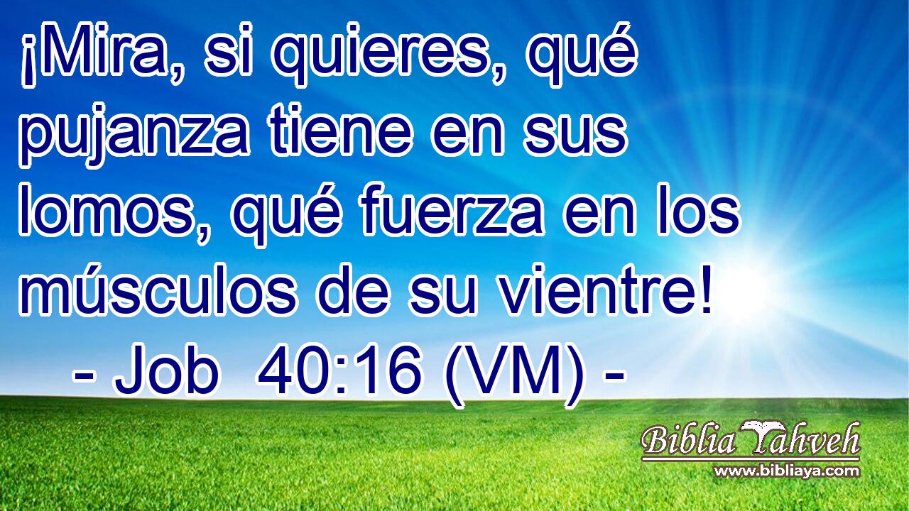  ¡Mira, si quieres, qué pujanza tiene en sus lomos, qué fuerza en los músculos de su vientre! 