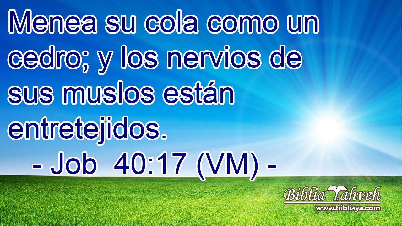  Menea su cola como un cedro; y los nervios de sus muslos están entretejidos. 