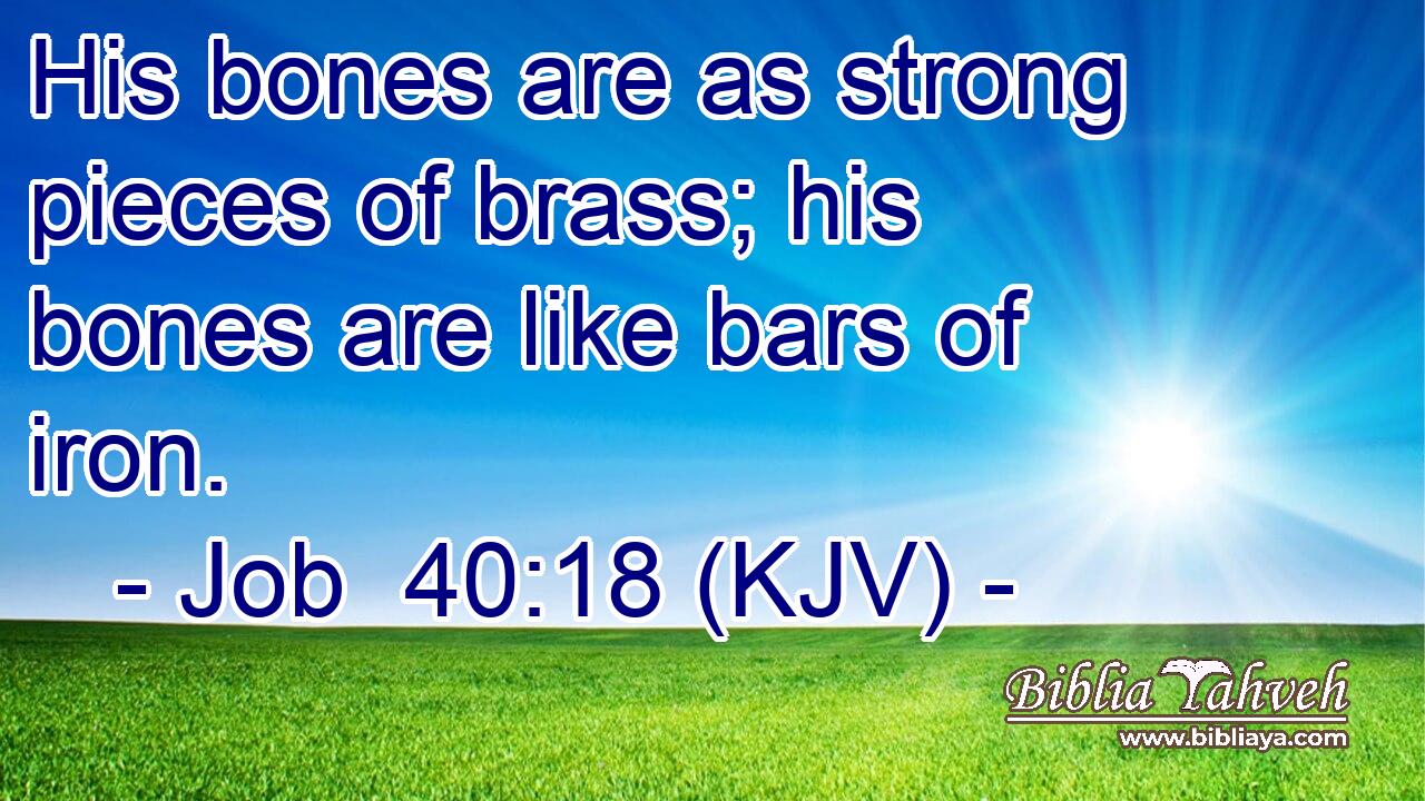 His bones are as strong pieces of brass; his bones are like bars of iron.