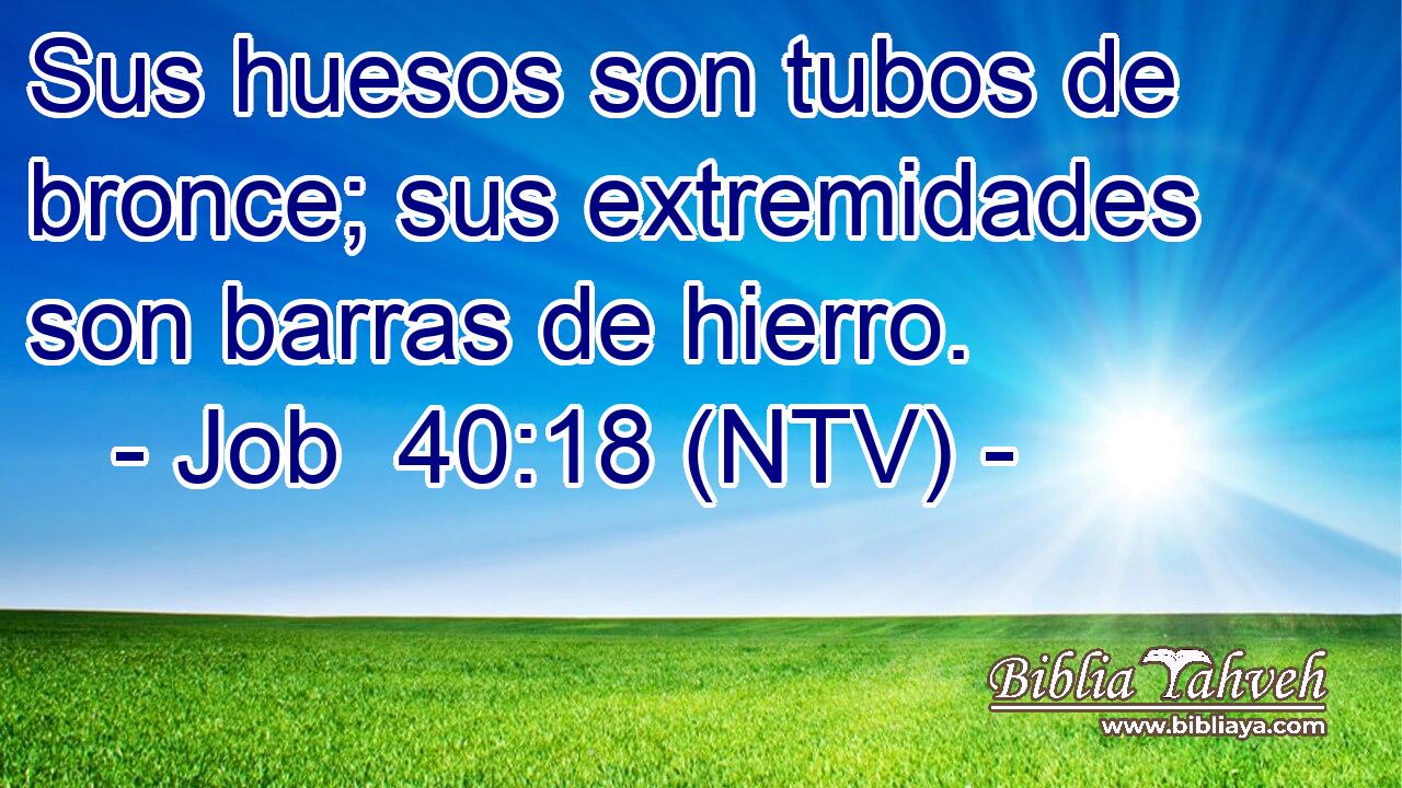 Sus huesos son tubos de bronce; sus extremidades son barras de hierro.