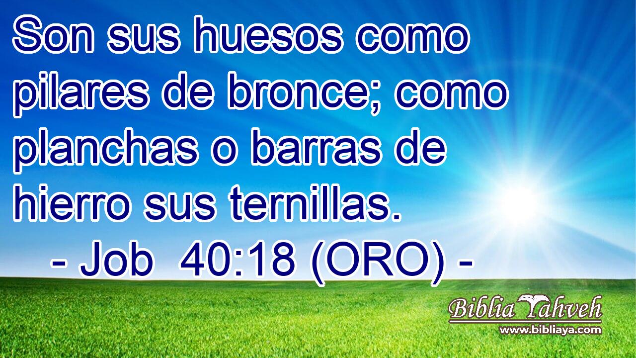  Son sus huesos como pilares de bronce; como planchas o barras de hierro sus ternillas. 