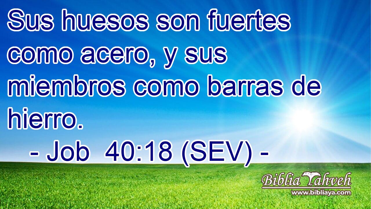 Sus huesos son fuertes como acero, y sus miembros como barras de hierro.