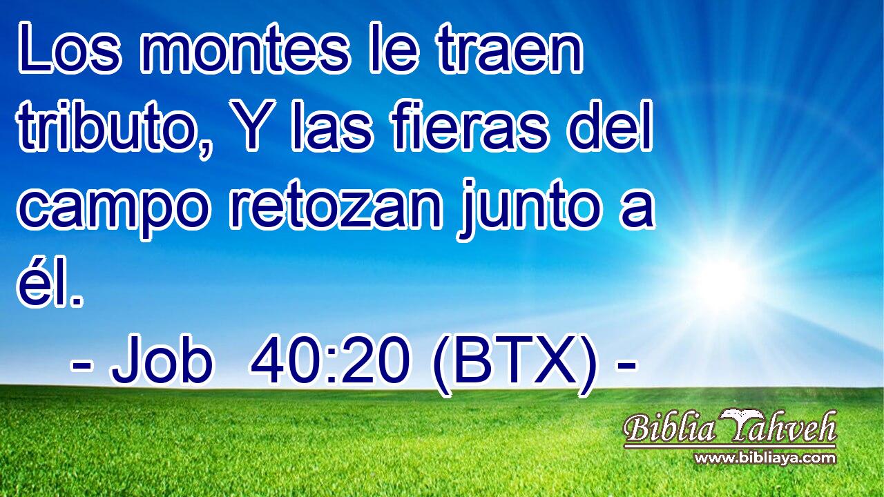 Los montes le traen tributo, Y las fieras del campo retozan junto a él.