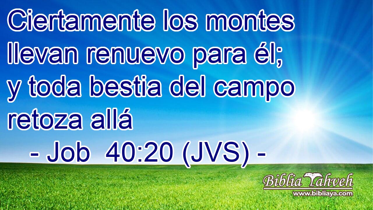 Ciertamente los montes llevan renuevo para él; y toda bestia del campo retoza allá