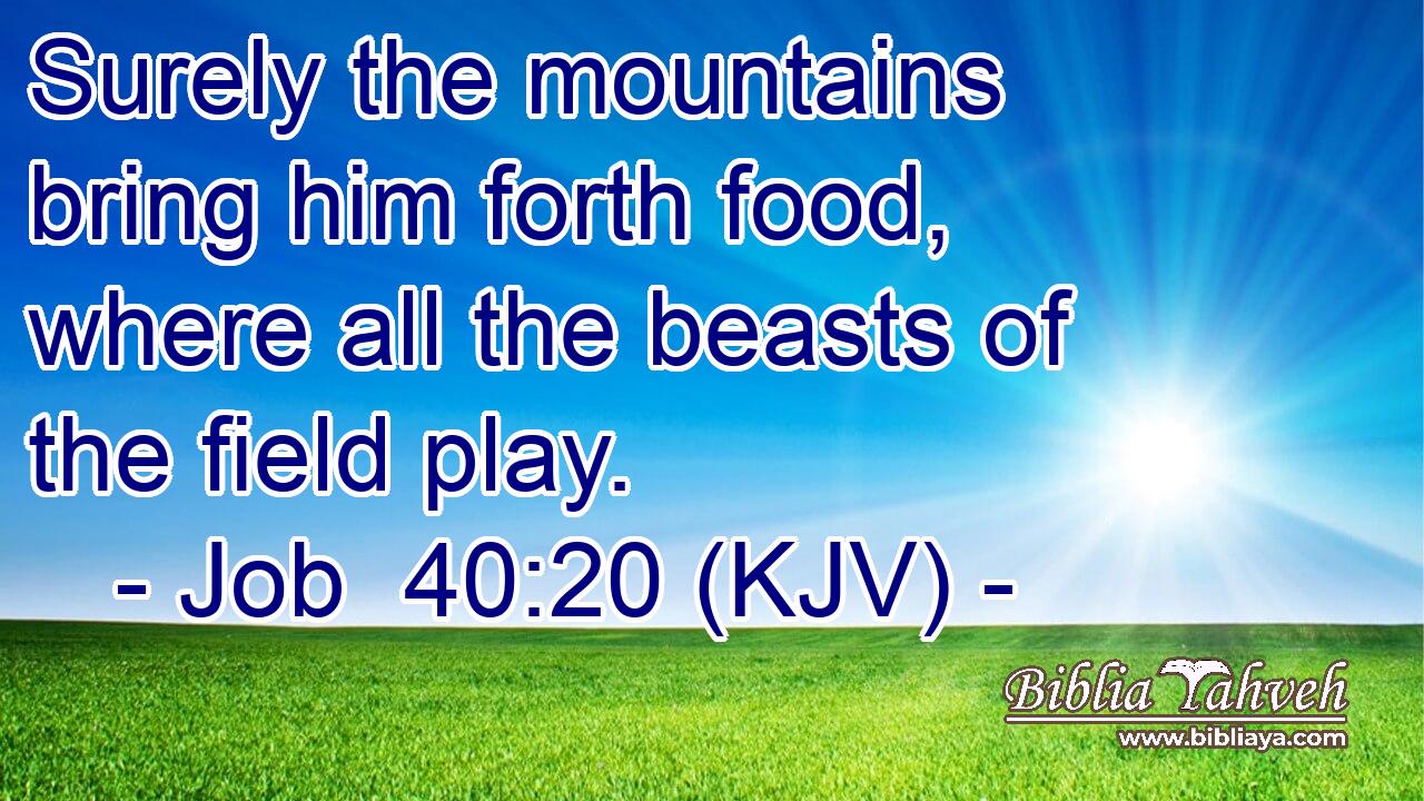 Surely the mountains bring him forth food, where all the beasts of the field play.