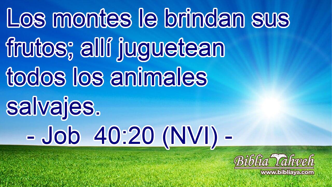  Los montes le brindan sus frutos; allí juguetean todos los animales salvajes. 