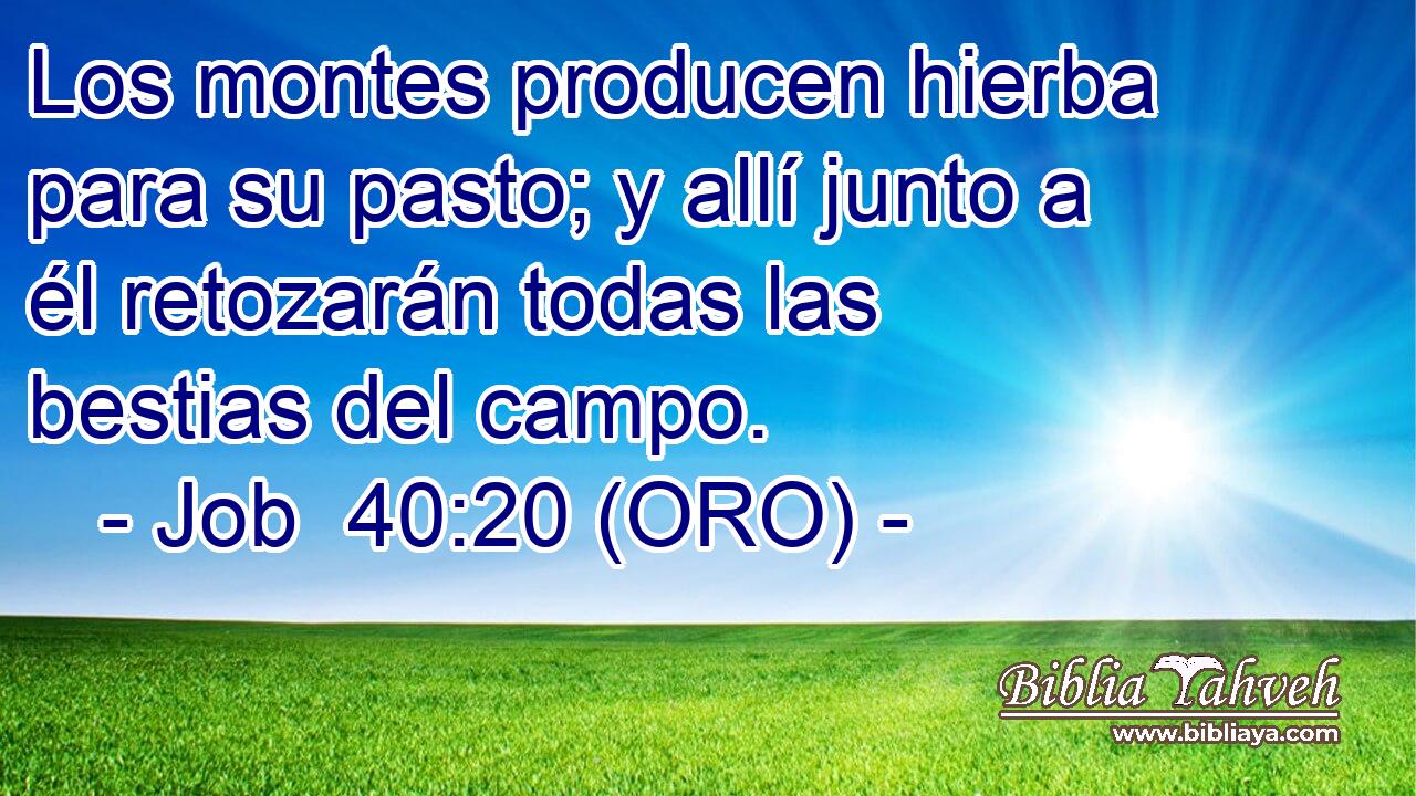  Los montes producen hierba para su pasto; y allí junto a él retozarán todas las bestias del campo. 