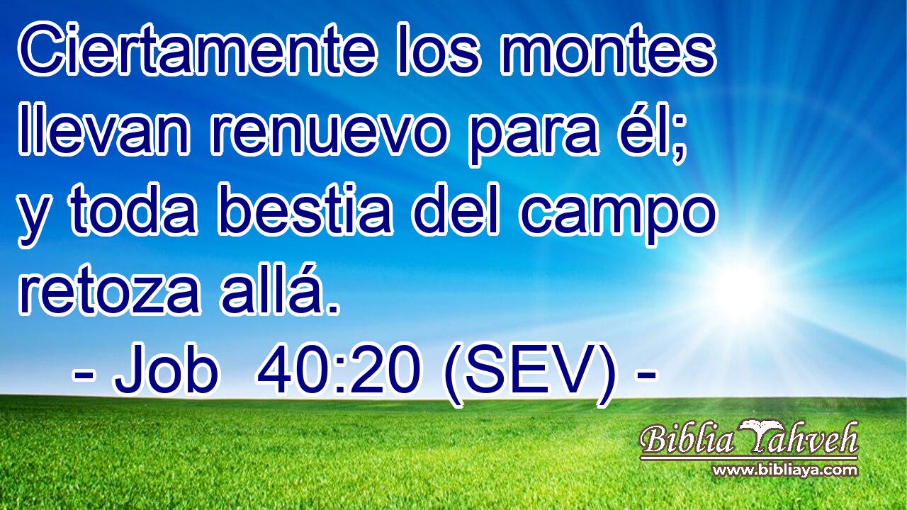 Ciertamente los montes llevan renuevo para él; y toda bestia del campo retoza allá.
