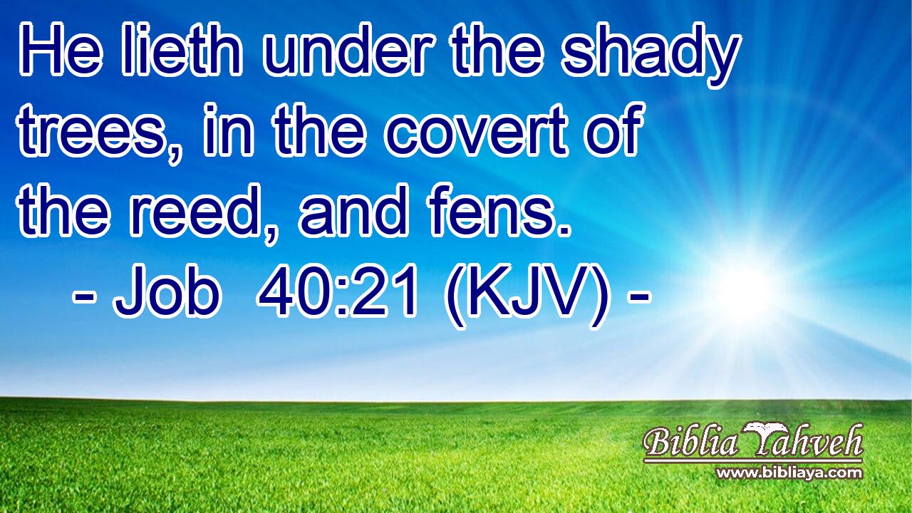 He lieth under the shady trees, in the covert of the reed, and fens.