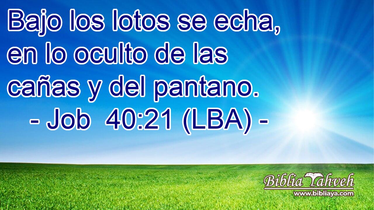 Bajo los lotos se echa, en lo oculto de las cañas y del pantano.