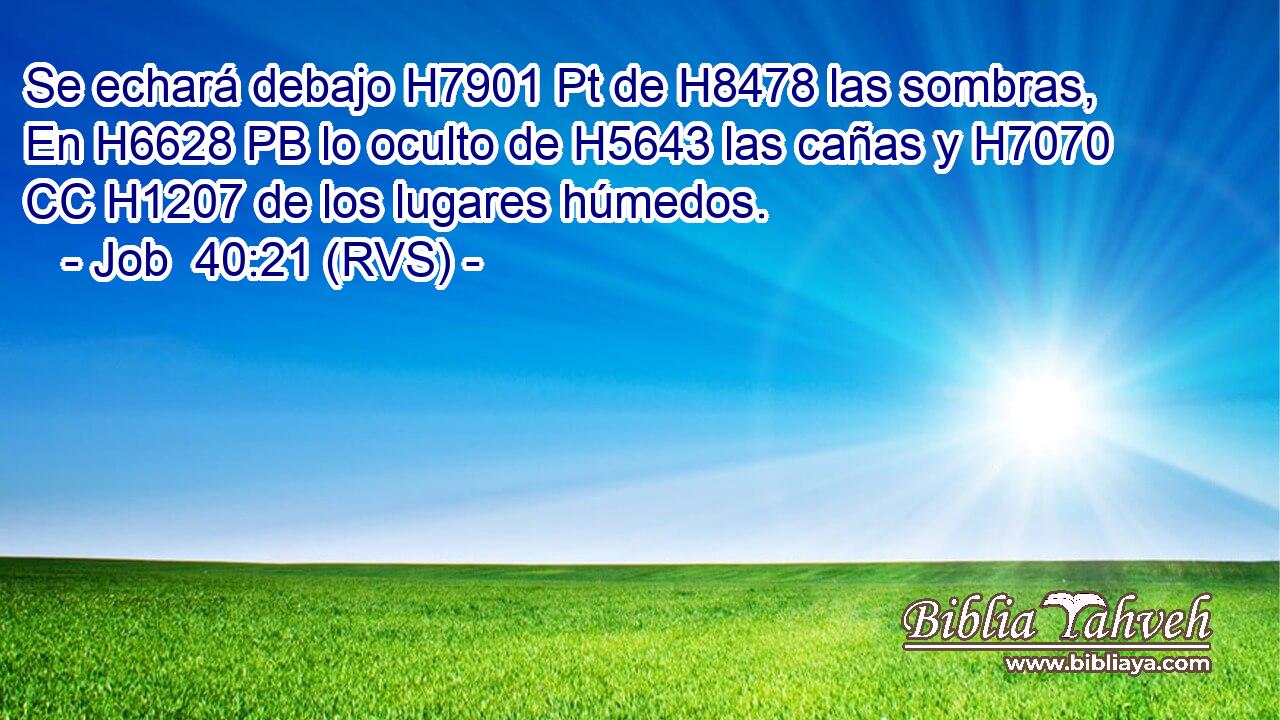 Se echará debajo H7901 Pt de H8478 las sombras, En H6628 PB lo oculto de H5643 las cañas y H7070 CC H1207 de los lugares húmedos. 
